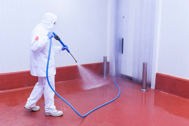 Best Sidewalk and Walkway Cleaning  in Randleman, NC